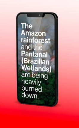 smartphone amazon forest